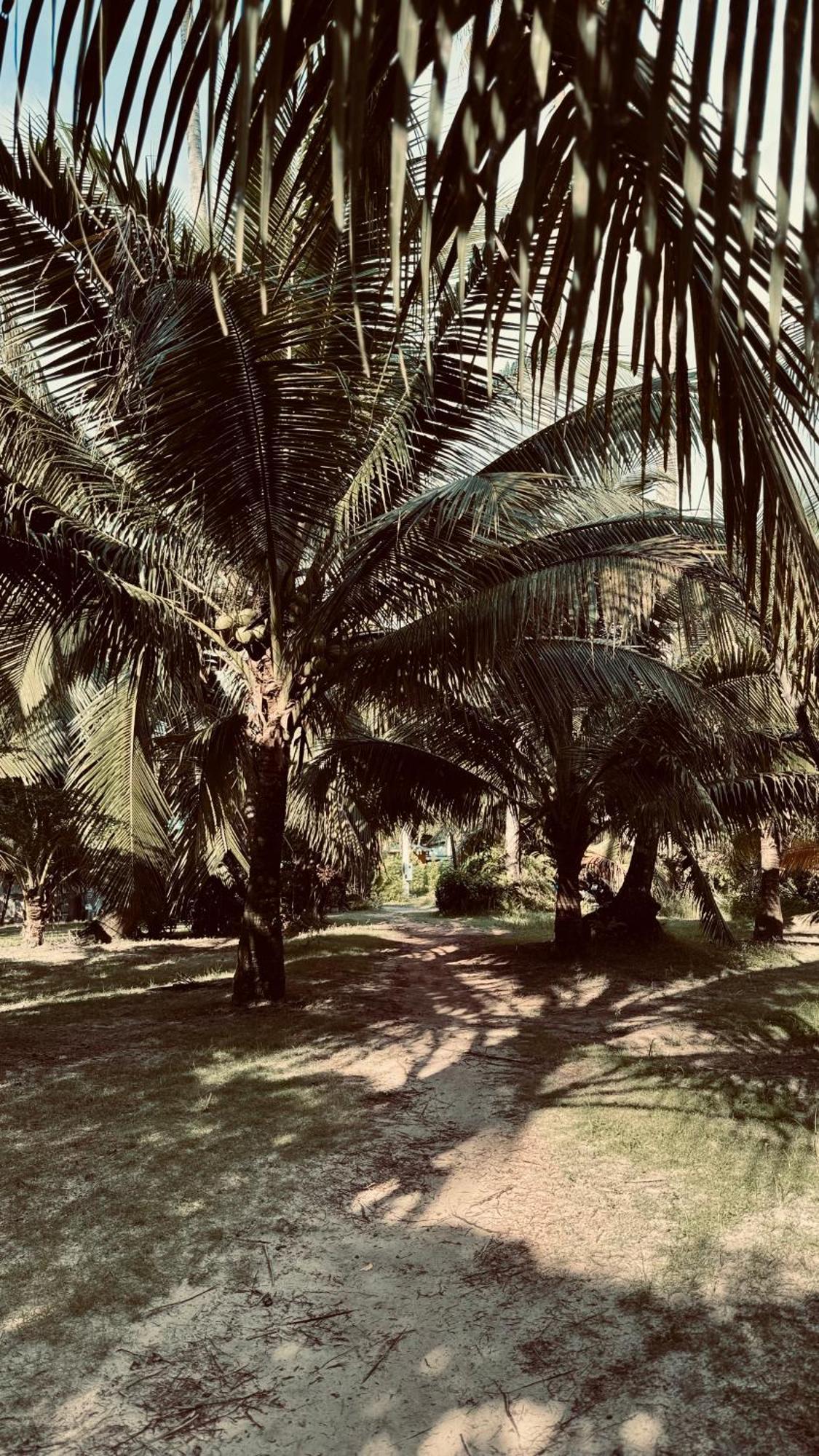 Suan Maprao सहारा *